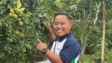 img-title Intip Harta Kekayaan Narji yang Kini Punya 1000 Hektare Sawah