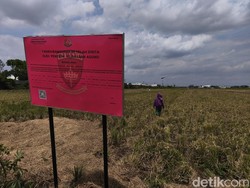 Seratusan Aset Bos Sritex Iwan Lukminto Disita, Ini Penampakannya di Sukoharjo