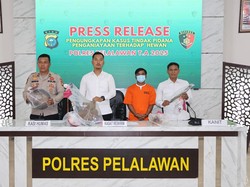Polres Pelalawan Bongkar Praktik Perdagangan Daging Anjing, 1 Pelaku Dijerat