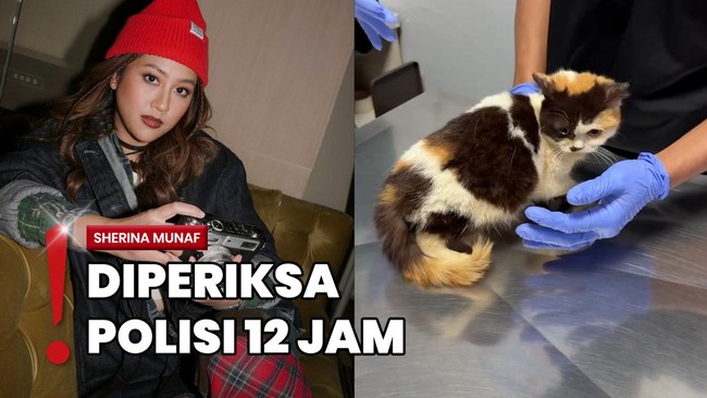 Sherina Pastikan Komunikasi dengan Cinta Kuya dari Awal soal Kucing