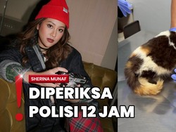 Sherina Pastikan Komunikasi dengan Cinta Kuya dari Awal soal Kucing