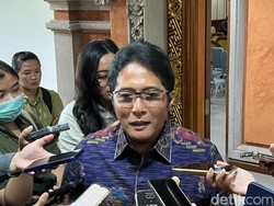 Wagub Bali: Omnimbus Law Percepat Alih Fungsi Lahan di Pulau Dewata