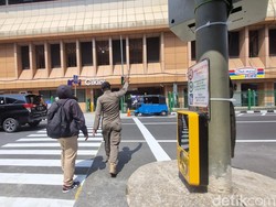Apa Itu Pelican Cross dan Bedanya dengan Zebra Cross?