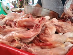 Harga Ayam di Palembang Rp 37.000 Per Kg, Asosiasi Unggas: Bibit Terbatas