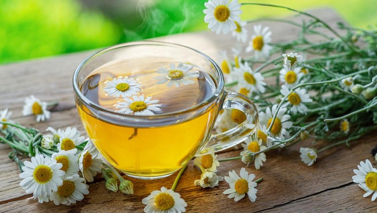 Ilustrasi teh chamomile Ilustrasi teh chamomile