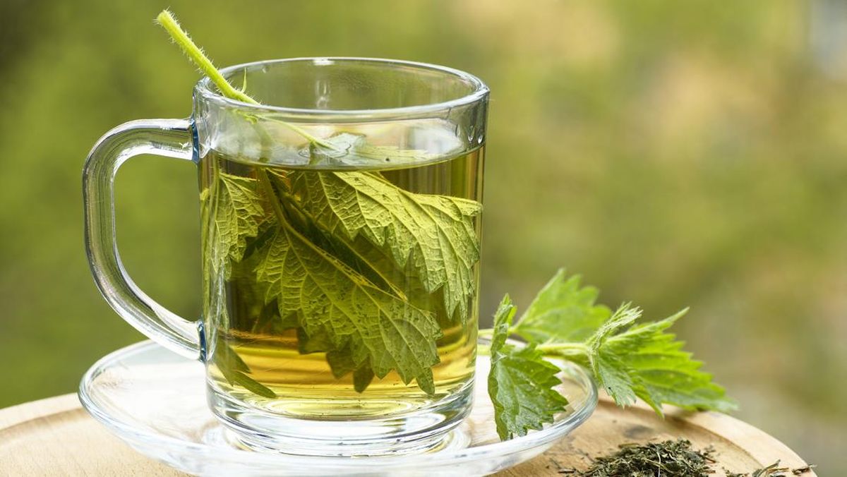 Bahaya Minum Air Rebusan Daun Sembarangan, Bisa Bikin Gagal Ginjal