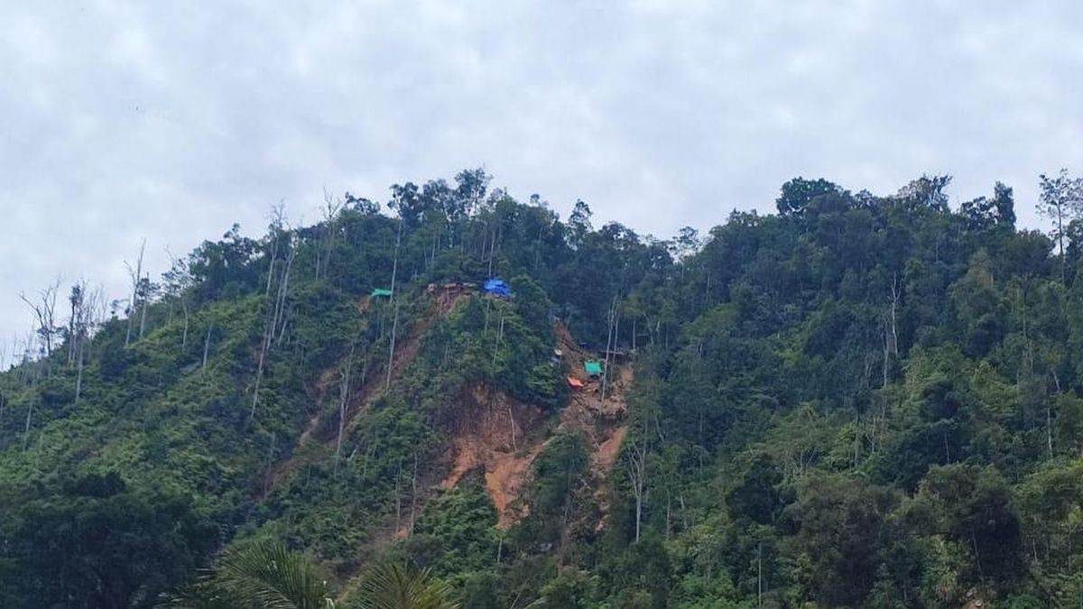 321 Hektare Tambang Ilegal Berhasil Kembali ke Negara