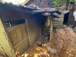 Kakak Beradik Alami Penyakit Cacingan, Gubernur Bengkulu Janji Bedah Rumah