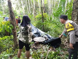 Mayat Pria Ditemukan Membusuk di Kebun Karet OKU Timur