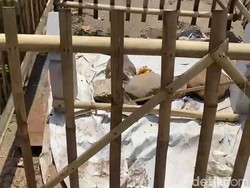 Penampakan Nisan Berkain Kafan di Atas Jembatan Jepara