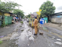 Warga Tanam Pisang di Jalan Rusak Lobar, PUPR: Perbaikan Tunggu 2026