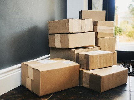Viral Nenek Habiskan Rp4,5 M Belanja Online hingga Paket Menumpuk, Ternyata Alasannya...