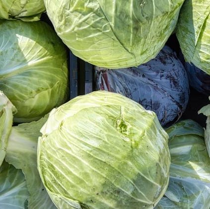 Sayuran hijau ini bisa diletakkan di kulkas dan tahan selama 2 bulan. Makanan menyehatkan ini bisa kamu masukkan ke kantong plastik sebelum disimpan di kulkas.