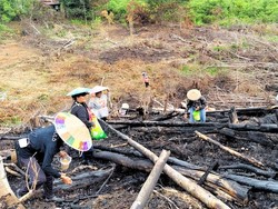 Akademisi Ungkap Tantangan Masa Kini soal Kearifan Lokal Buka Ladang Dibakar