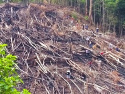 KLH Larang Bakar Lahan, Anggota DPRD Nunukan: Jangan Kambinghitamkan Peladang!