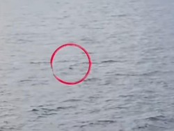 Penumpang Kapal Rute Balikpapan-Parepare Lompat ke Laut, Sempat Telepon Ortu