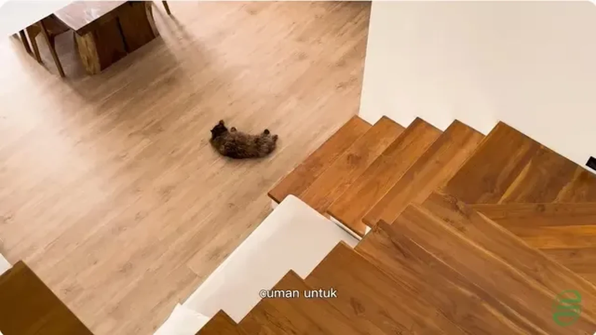 Rumah Fandy Christian dan Dahlia Poland