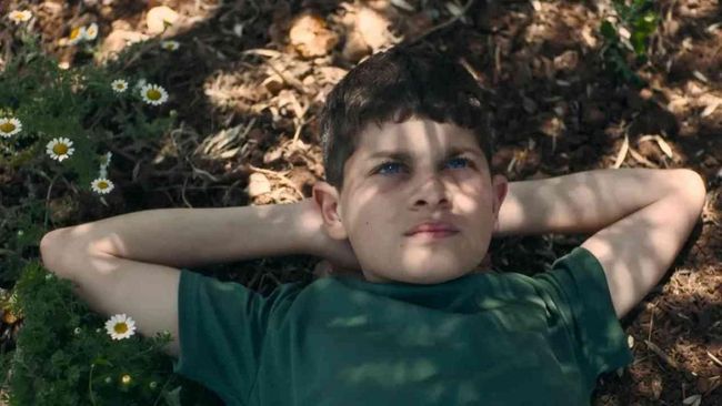 Israel menghentikan pembiayaan ajang penghargaan setara Oscar karena film pro-Palestina menang.