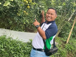 Disebut Punya Lahan 1.000 Hektare, Narji Bingung Tiap Pulang Kampung Ditawari Sertifikat Tanah