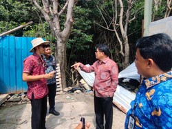 Bule Rusia Kuasai Hutan Mangrove dan Bangun Pabrik di Bali, Dewan Kaget