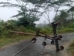 Tiang Listrik di Manggarai Barat Tumbang, 4.000 Pelanggan PLN Terdampak