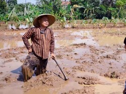 Jarang Tampil di TV, Ini 7 Potret Narji Banting Setir Jadi Petani Kotor-kotoran di Sawah