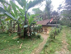 Penampakan Persembunyian Iwan Pembunuh Serda RS di Wonosobo