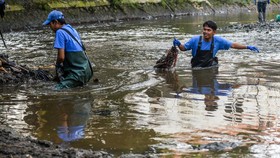 KLH: 1.480 Sungai di RI Tercemar, Airnya Berbahaya Diminum