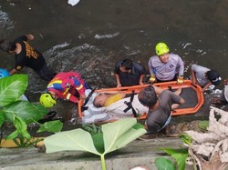 Damkar Bogor Evakuasi Pria Nyebur ke Sungai Ciparigi saat Beri Makan Ayam