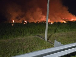 Lahan Dekat Tol Palindra Terbakar, Tim Gabungan Padamkan Api
