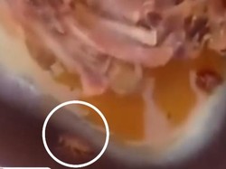 Viral Ada Kecoa di Makan Bergizi Gratis, Wagub Kepri Bakal Cek Dapurnya