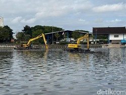 Muara Tukad Badung Terakhir Dikeruk 2019, Menteri PU Wanti-wanti Banjir Lagi
