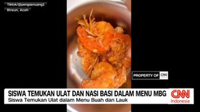 VIDEO: Program MBG di Aceh Heboh, Makanan Basi dan Belatung Ditemukan