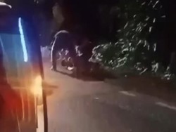 Preman Tukang Palak di Lampung Teriak Histeris Saat Diciduk Polisi