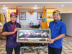 Pemprov Sulsel-Kaltara Jajaki Kerja Sama Sektor Transportasi dan Infrastruktur