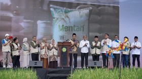 Perkuat Ketahanan Pangan, Muhammadiyah Luncurkan Padi Varietas Mentari