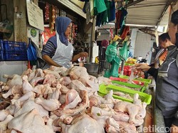 Harga Daging Ayam di Semarang Tembus Rp 40 Ribu per Kilo