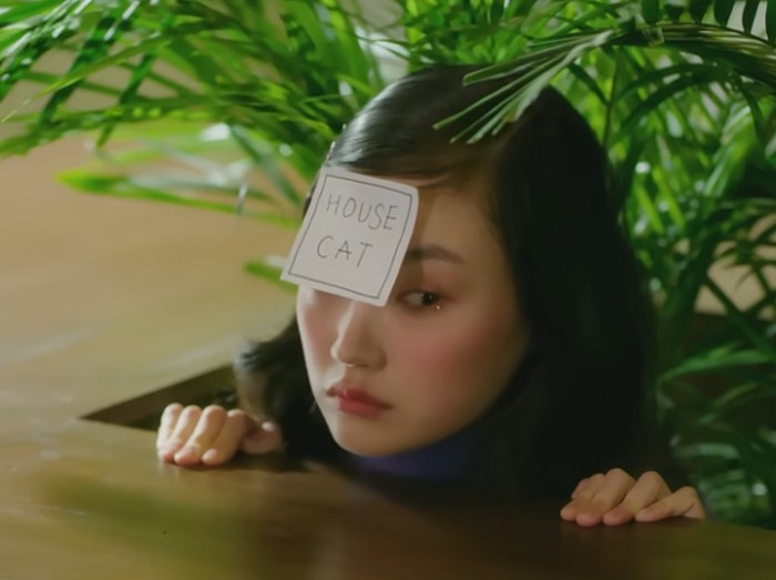 Lagu Cat oleh Sunwoo Jung punya lirik yang menarik. Saat pertama kali didengar, seolah-olah berasal dari sudut pandang seseorang yang chic dan terlihaat cuek. Tapi, kejutan sesungguhnya ada di judulnya, yaitu 