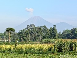 Gunung Semeru Kembali Erupsi Pagi Ini, Bagaimana Statusnya?