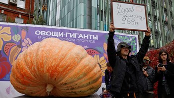 FOTO: Labu Seberat 969 Kg Pecahkan Rekor Sayuran Raksasa di Rusia