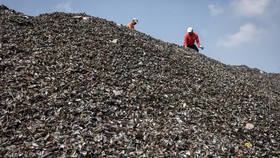 FOTO: Gunungan Limbah Cangkang Kerang di Cilincing