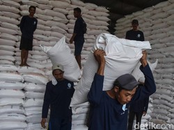 Penyerapan Minim, Stok Pupuk Subsidi di Tasikmalaya Melimpah