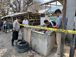 Geger, Warga Kupang Temukan Mayat Bayi di Tempat Sampah