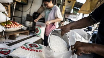 FOTO: Stok Beras Jawa Tengah Surplus 1,5 Juta Ton