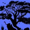 Tes Kepribadian: Gambar Hewan Pertama yang Dilihat Bisa Ungkap Kepribadian, Total Ada 4 Hewan!