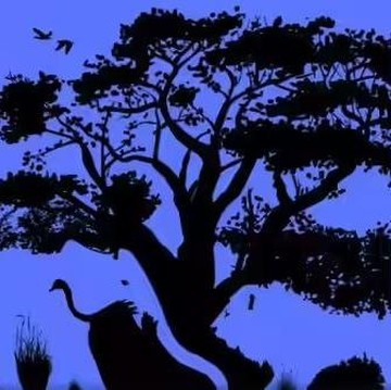 Tes Kepribadian: Gambar Hewan Pertama yang Dilihat Bisa Ungkap Kepribadian, Total Ada 4 Hewan!