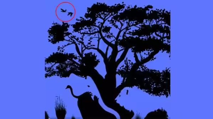 Tes kepribadian ilusi optik belakangan cukup populer dan disukai banyak orang. Seperti tes kepribadian yang satu ini, ada empat hewan berbeda. Berdasarkan apa yang ditangkap oleh matamu pertama kali, hewan tersebut bisa mengungkap kepribadianmu.