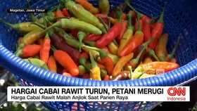 VIDEO: Pantauan Harga Cabai dan Daging Ayam