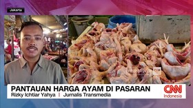 VIDEO: Harga Ayam di Pasaran Masih Tinggi