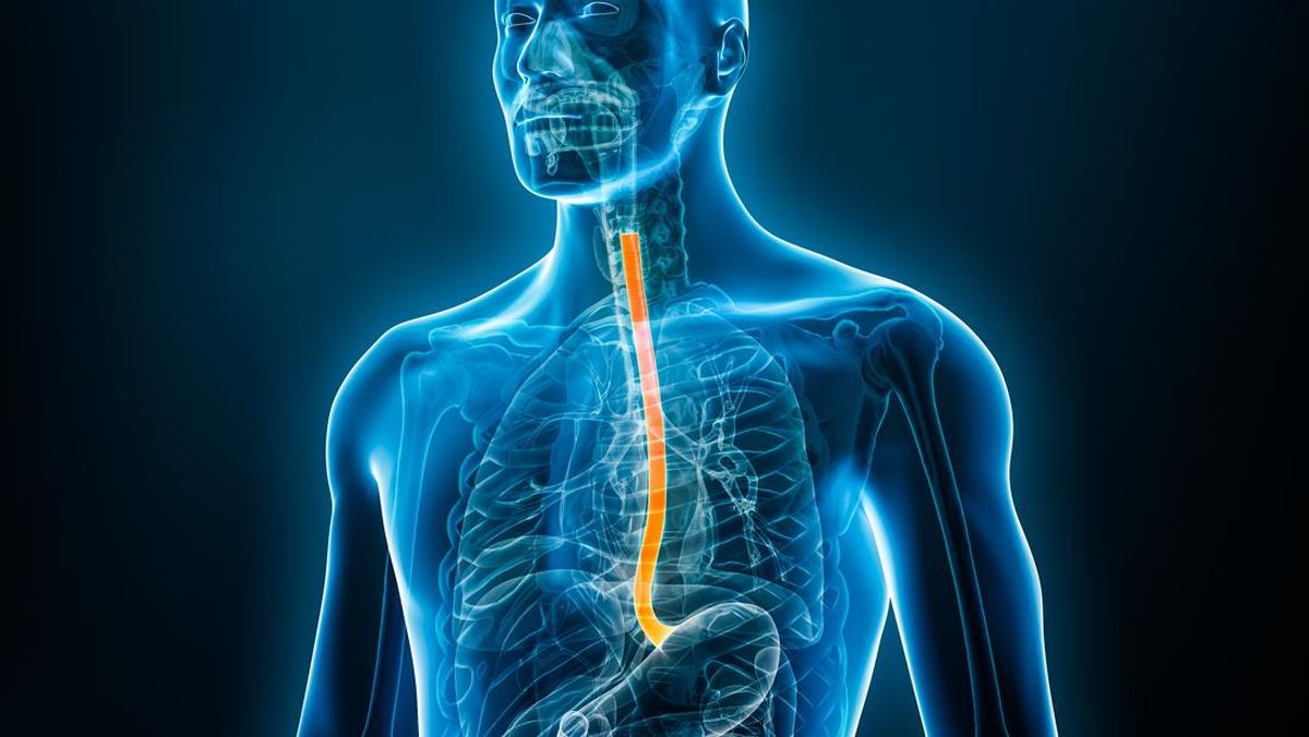 Fungsi Kerongkongan pada Manusia dan Cara Menjaganya Tetap Sehat
